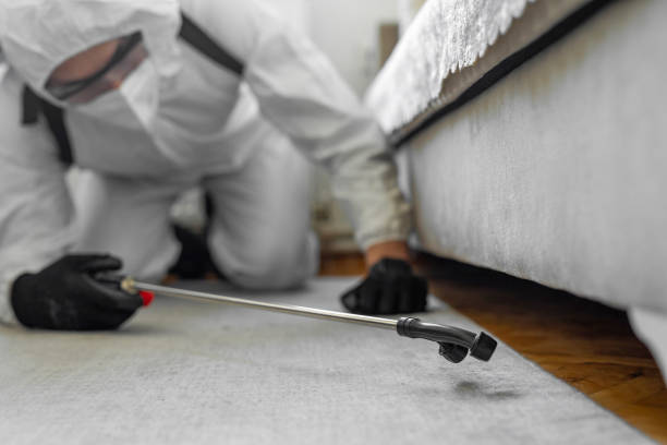 Professional Pest Control technician working in Owsley County County, KY